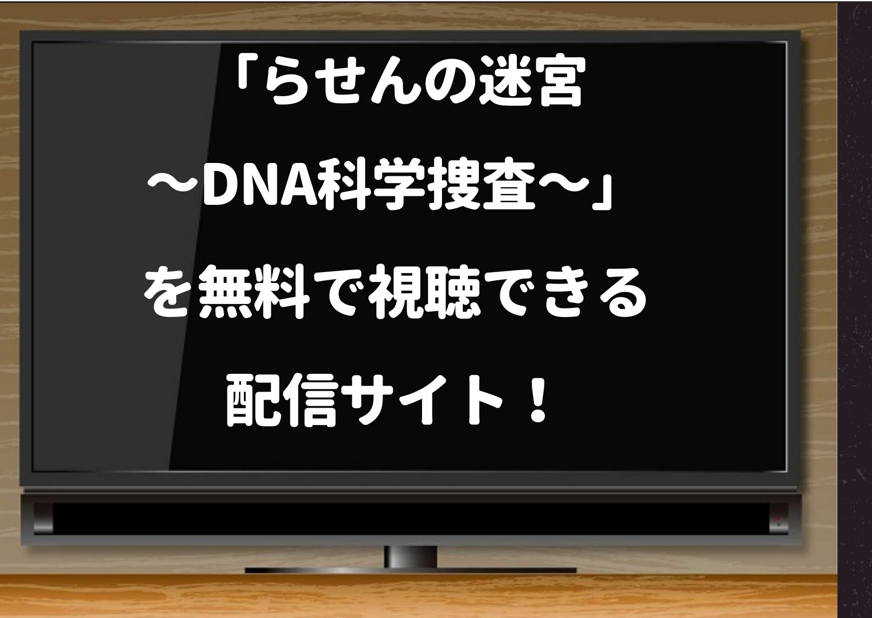 らせんの迷宮,hulu,配信,無料,動画,pandora