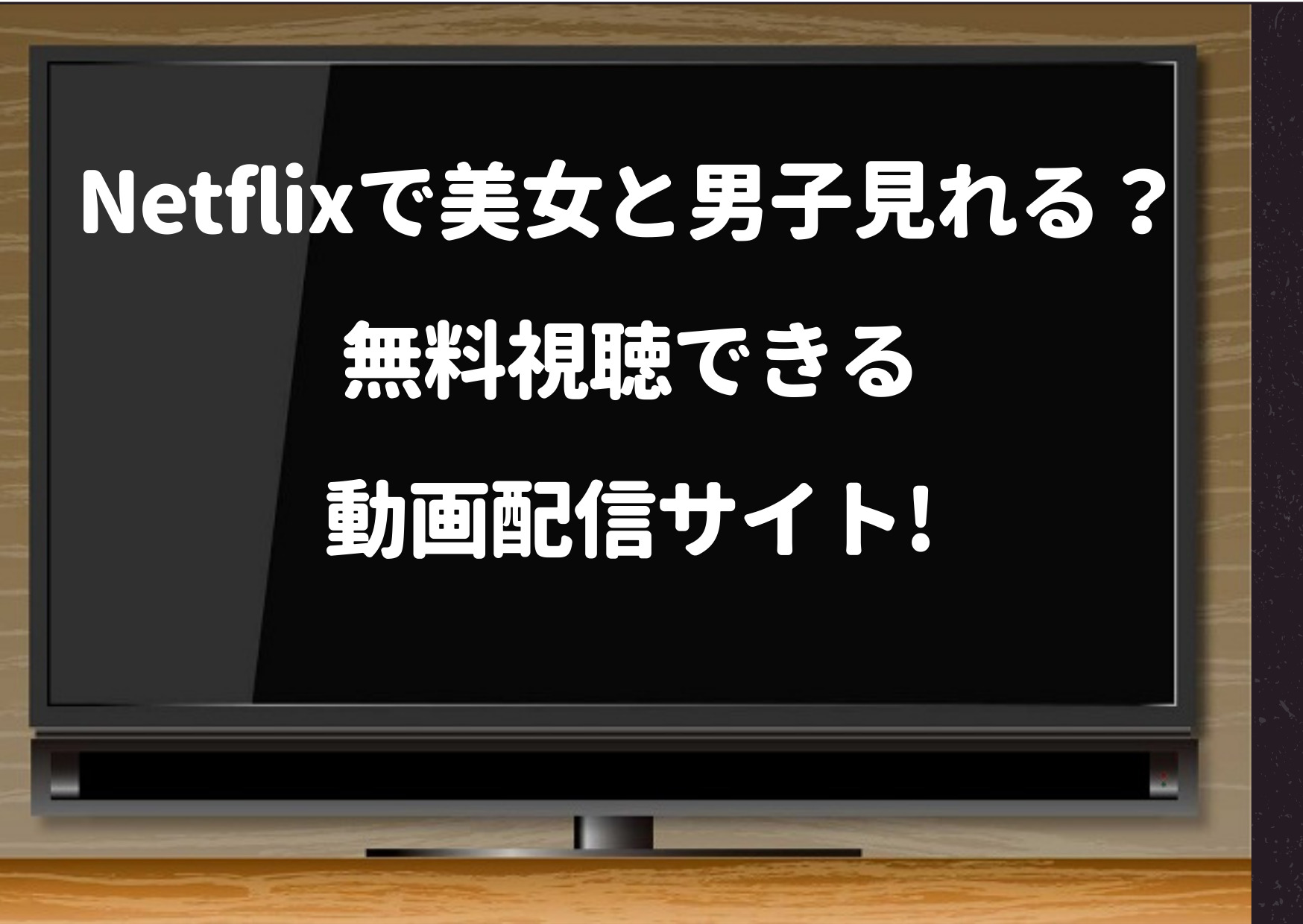 netflix,美女と男子,配信,pandora,dailymotion,見逃し,NHK