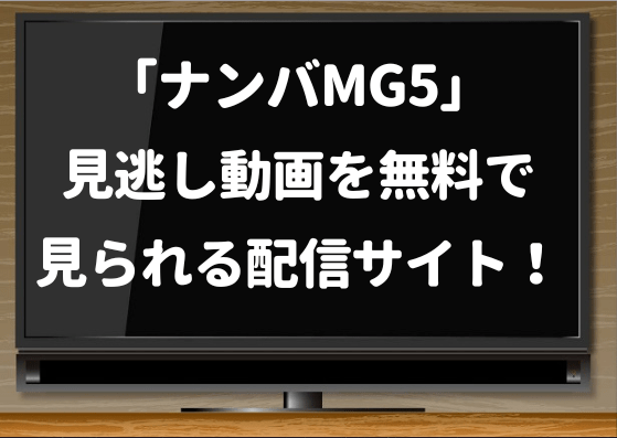 ナンバMG5,netflix,pandora,hulu,動画